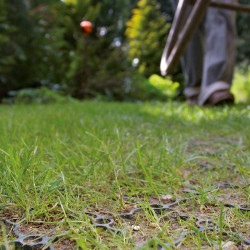 Aco grasdal AREA 40 60x40cm groen