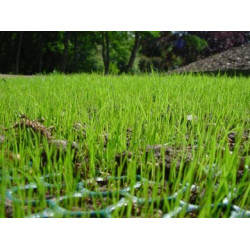 EMG TerraWeb-light 2x30m