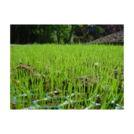 EMG TerraWeb-light 2x30m