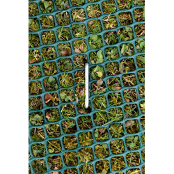 EMG TerraWeb-light 2x30m