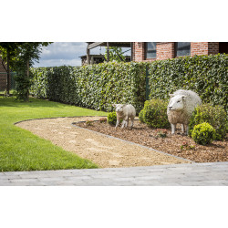 ECO-oh! Ecolat 14cm - rol 10m grijs ECO-oh! Ecolat 14cm - rol 10m grijs