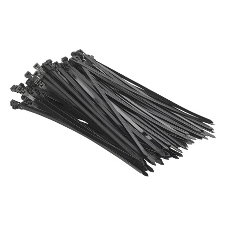 Bevestigingsstrips zwart (100 stuks)