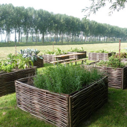 Hazelaarscherm 150x40cm (BxH) - inclusief paaltjes