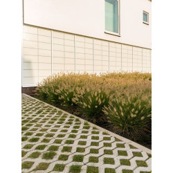 Grasdal beton 60x40x12cm