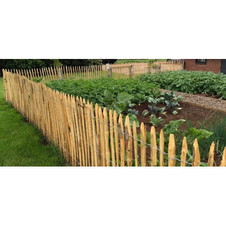 Frans Kastanjehek 10mx150cm (afstand 4.5-5cm)