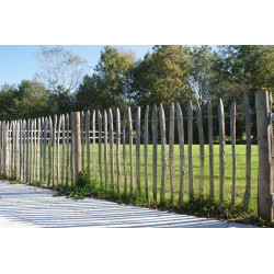 Frans Kastanjehek 1000x120cm (afstand 7.5-8cm)