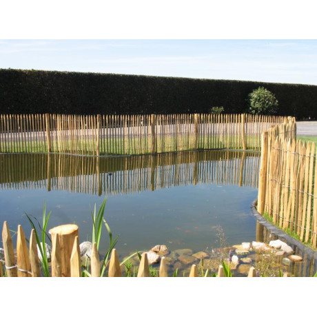 Frans Kastanjehek 10mx150cm (afstand 4.5-5cm)