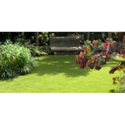 Namgrass Green Ariosa 43mm breedte 4m - lengte per 10cm Namgrass Green Ariosa 43mm breedte 4m - lengte per 10cm