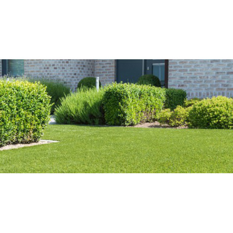 Namgrass Green Utopia 32mm breedte 2m - lengte per 10cm Namgrass Green Utopia 32mm breedte 2m - lengte per 10cm
