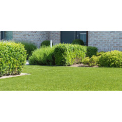 Namgrass Green Utopia 32mm breedte 4m - lengte per 10cm Namgrass Green Utopia 32mm breedte 4m - lengte per 10cm