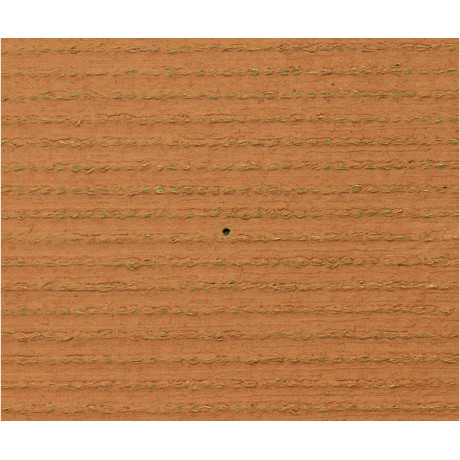 Exelgreen Campus 25mm breedte 1m - lengte per 10cm Exelgreen Campus 25mm breedte 1m - lengte per 10cm