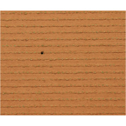 Exelgreen Campus 38mm breedte 1m - lengte per 10cm Exelgreen Campus 38mm breedte 1m - lengte per 10cm
