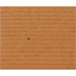 Exelgreen Campus 50mm breedte 2m - lengte per 10cm Exelgreen Campus 50mm breedte 2m - lengte per 10cm
