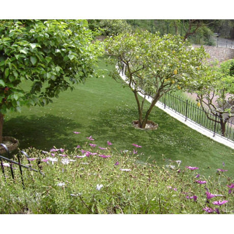Exelgreen Natura 25mm breedte 1m - lengte per 10cm Exelgreen Natura 25mm breedte 1m - lengte per 10cm