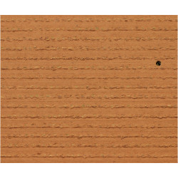 Exelgreen Natura 38mm breedte 1m - lengte per 10cm