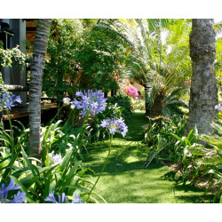Exelgreen Park 40mm breedte 4m - lengte per 10cm Exelgreen Park 40mm breedte 4m - lengte per 10cm