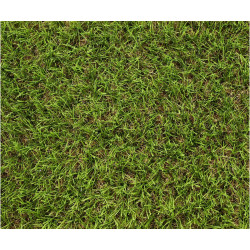 Exelgreen Stadium 30mm breedte 2m - lengte per 10cm Exelgreen Stadium 30mm breedte 2m - lengte per 10cm