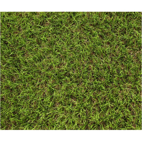 Exelgreen Stadium 30mm breedte 2m - lengte per 10cm Exelgreen Stadium 30mm breedte 2m - lengte per 10cm