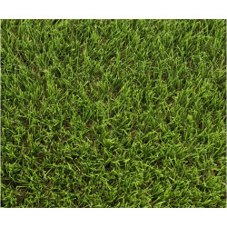 Exelgreen Stadium 40mm breedte 1m - lengte per 10cm Exelgreen Stadium 40mm breedte 1m - lengte per 10cm