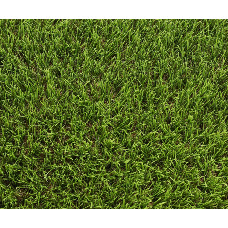 Exelgreen Stadium 40mm breedte 1m - lengte per 10cm Exelgreen Stadium 40mm breedte 1m - lengte per 10cm