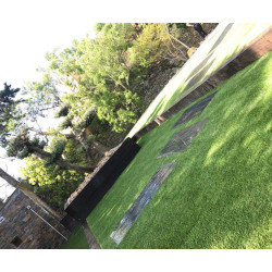 Exelgreen Real C 3D 25mm breedte 1m - lengte per 10cm Exelgreen Real C 3D 25mm breedte 1m - lengte per 10cm