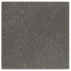 Terrastegel 40x60x3,9cm grijs - MET C-PROTECT Terrastegel 40x60x3,9cm grijs - MET C-PROTECT