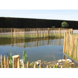 Frans Kastanjehek 10mx50cm (afstand 4.5-5cm)