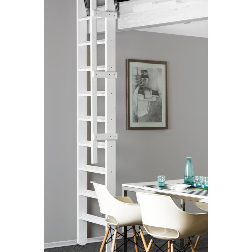 FAKRO molenaarstrap MSP-WW ECO Pivot - wit vernist