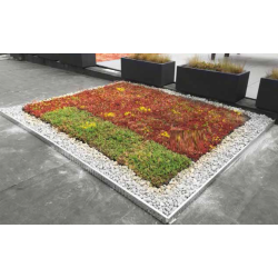 Grindkeringsprofiel groendak 3m - 6cm hoog