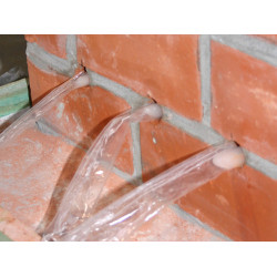 PTB Freezteq 250 stuks PTB Freezteq 250 stuks
