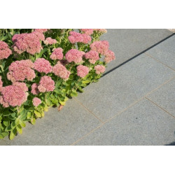 Pepperino Dark tegel 60x40x2cm (kist 24m²)